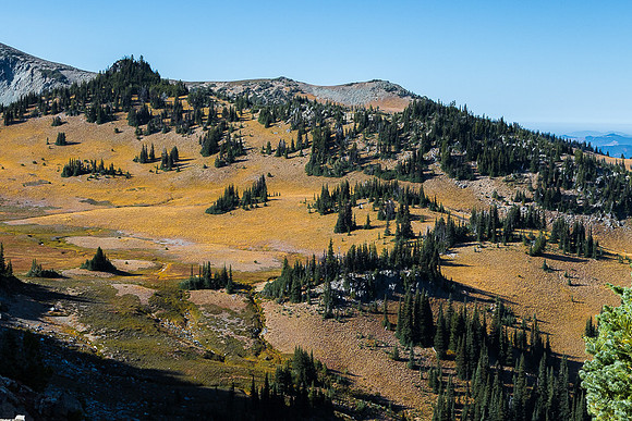 Fall Meadow from Sunrise Point