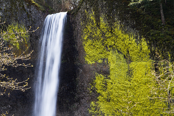 Latourell Falls, OR