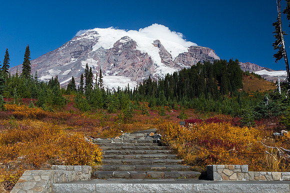 Mt. Rainier with fall color #4