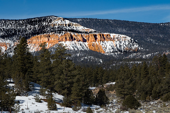 Disant Hoodoo's #3