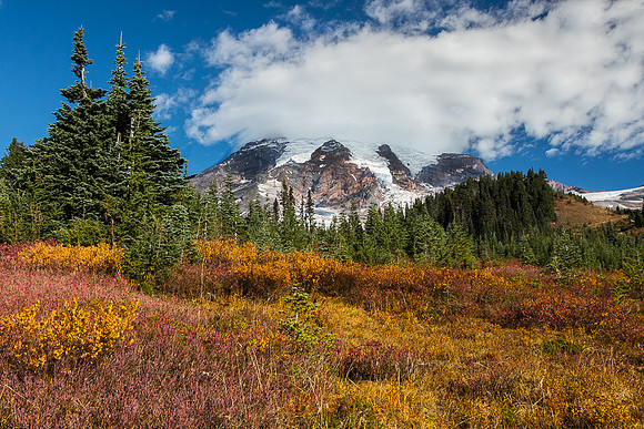 Mt. Rainier with fall color #1