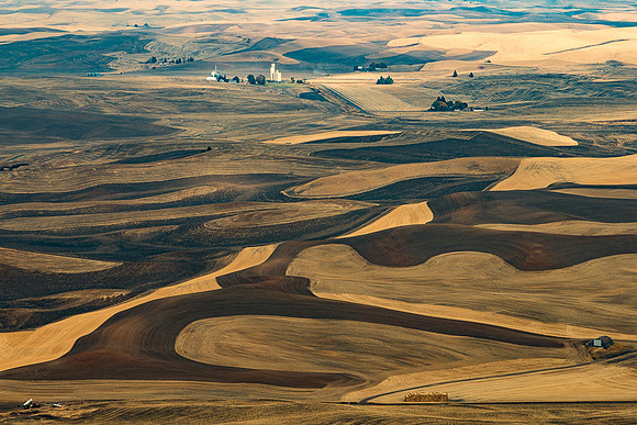 Palouse farmland #2