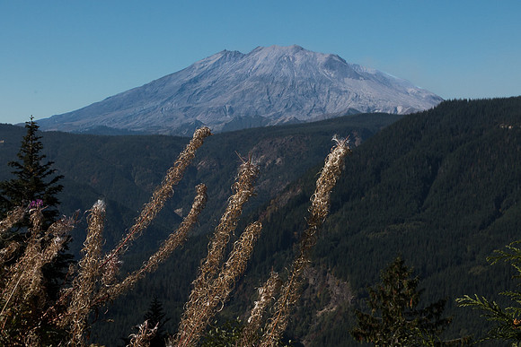Mt. St. Helens from the East side #2