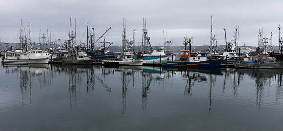 Newport Harbor Oregon