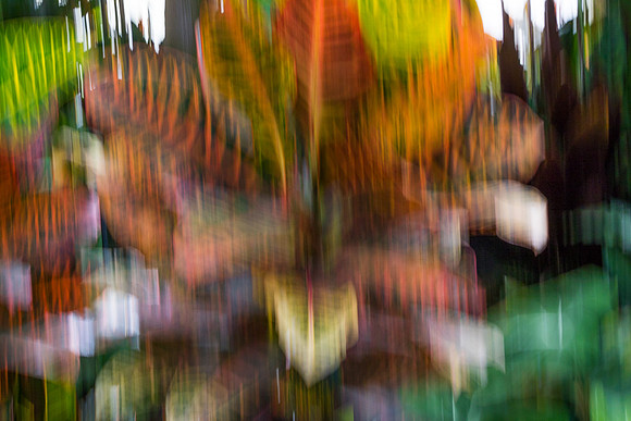 17 7d2R02-#4523
