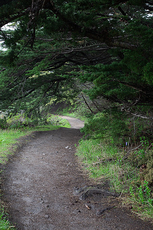 Garapata State Park Trail