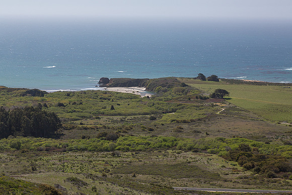Andrew Molera State Park beach