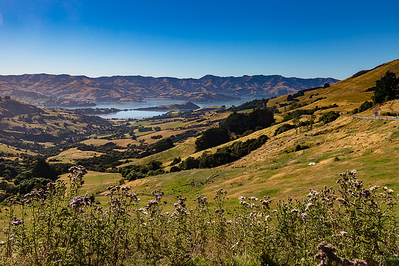 Duvauchelle-Akaroa Harbor