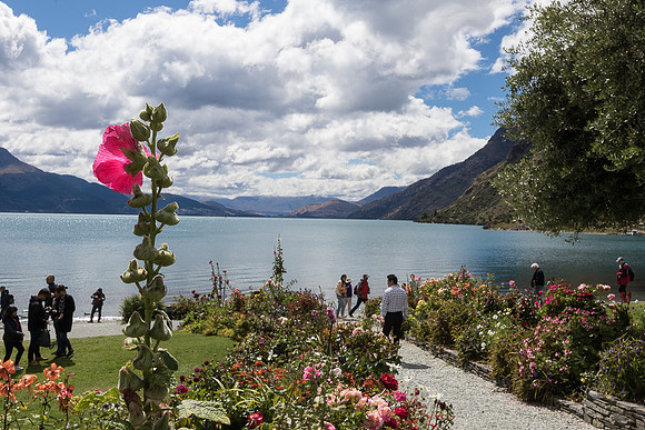 Lake Wakatipu from Walter Ranch