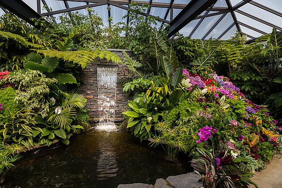 Tropical Profusion  (Butchart Garden)