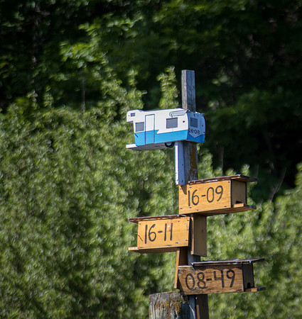 Whimsical Bird Houses