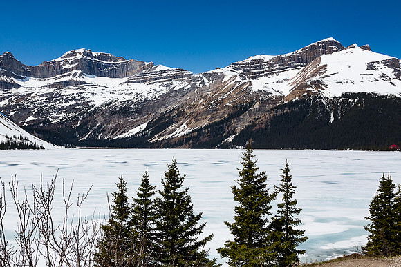 Bow lake