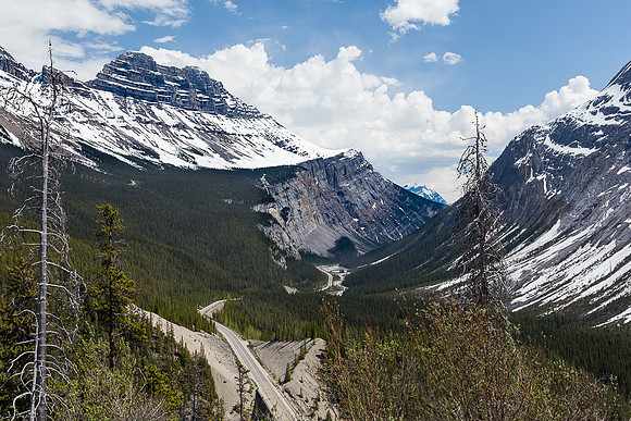 Icefields Parkway & Cirrus Mountain