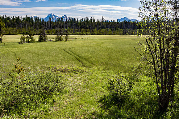 McGee Meadow