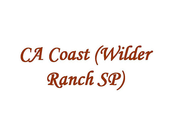 CA Coast (Wilder Ranch SP)