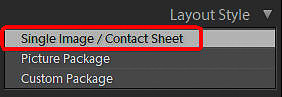 04 D - Layout Style Panel