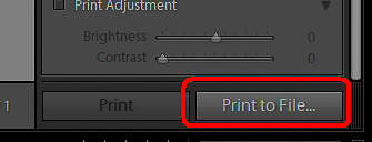07 I - Print to File button