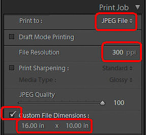 08 E- Print Job Panel