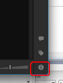 03 LR Info Panel Icon