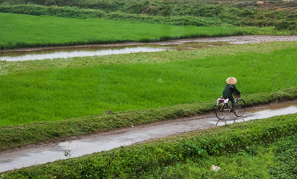 Biking to the paddy's