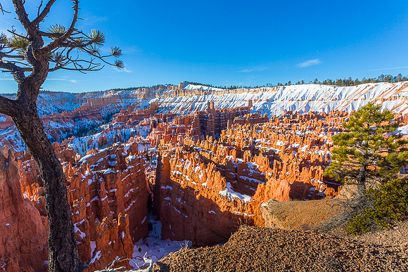 Bryce canyon in early morning from Sunset Point #8