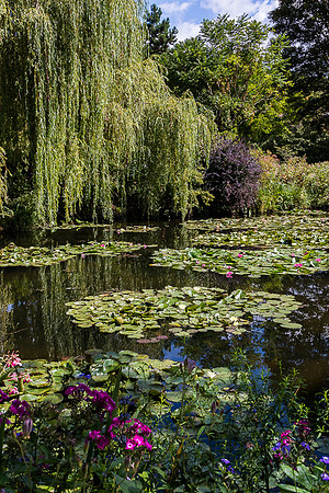 Claude Monet Garden pond #2, Giverny, France