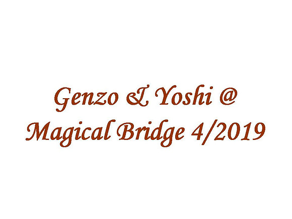 Magical Bridge 2019-04