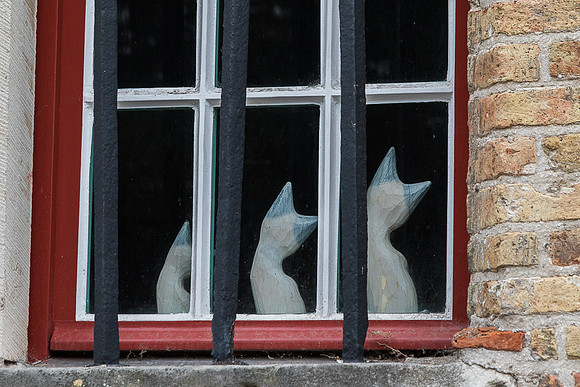 Three Porcelain cats in a Bruges window