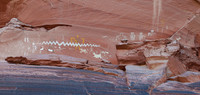 Below Wiptiline are animlas:  Bear, Antelope, Mountain Lions, Coyote