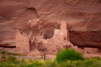 Antelope house