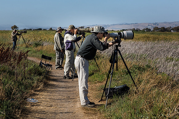 4 Bird Photographers