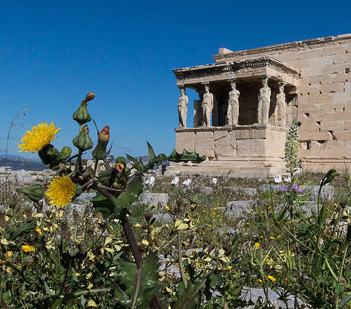 Erechtheion temple