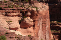 Canyon de Chelley from Antelope House Overlook