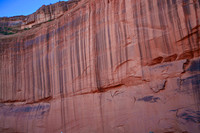 Mother Earth Hair.  Chinle Wash