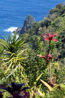 Road to Hana