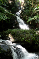 Hawaii Tropical Botanical Garden #3