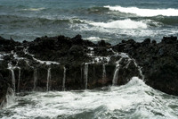 Hawaii Tropical Botanical Garden #6