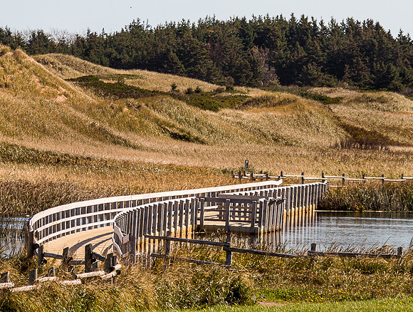 Cavendish National Park Board Walk (PEI, Canada)