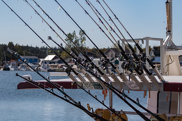Fishing Rods (PEI, Canada)