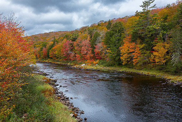 Fall on St. Mary's River (NS, Canada)