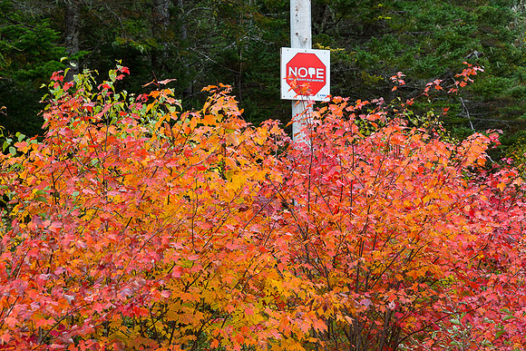 NOPE (No Open Pit Excavation) sign near Stillwater (NS, Canada)
