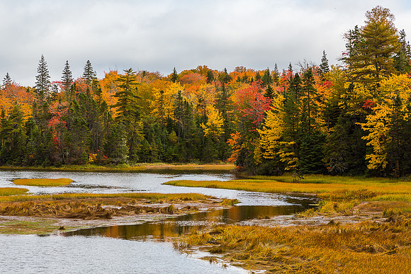North Gut Bay #6 at St. Anns, (Cape Breton Island, NS Canada)