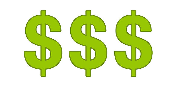 13 dollar sign