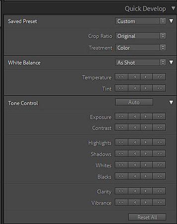LR017 01 Quick Develop Panel