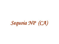 CA Sequoia NP