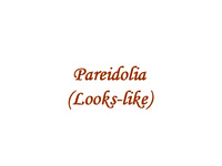 pareidolia (Looks Like)