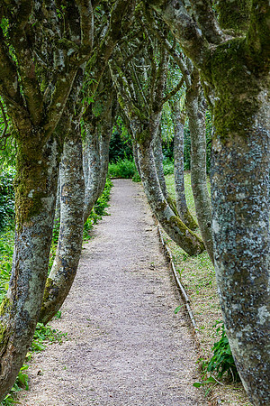 Gardens, Cawdor Castle 01